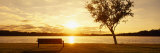 Silhouette of a Birch Tree with a Bench on the Lakeside at Sunrise