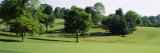Trees on a Golf Course, Woodholme Country Club, Baltimore, Maryland, USA