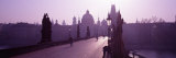 Charles Bridge Moldau River Prague Czech Republic