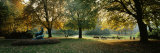 Trees in a Formal Garden, Le Jardin Du Luxembourg, Paris, France