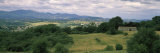 Trees on a Landscape, Carsulae, Umbria, Italy