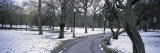 Last Snow of the Season, Boston Public Garden, Boston, Suffolk County, Massachusetts, USA