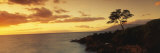 Hawaii, Maui, Wailea Point