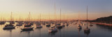 Sunset and Harbor Chicago Il, USA