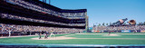California, San Francisco, Sbc Ballpark, Spectator Watching the Baseball Game in the Stadium