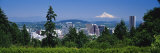 Buy Mt Hood Portland Oregon, USA at AllPosters.com