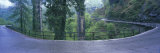 Curving Road Switzerland Photographic Print