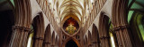 Aisle of a Cathedral, Wells Cathedral, Wells, Somerset, England