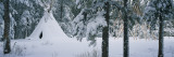 Snow Covered Teepee Banff National Park Canada
