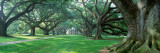 Louisiana, New Orleans, Oak Alley Plantation, Plantation Home Through Alley of Oak Trees Photographic Print