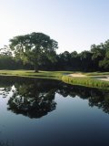 Reflection of Trees in a Lake, Kiawah Island Golf Resort, Kiawah Island, Charleston County