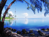 Rope Swing over Water Florida Keys Florida, USA Photographic Print