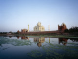 Taj Mahal Reflected in the Yamuna River, Agra, Rajasthan, India