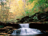 Pennsylvania, Benton, Ricketts Glen State Park, Waterfalls at Glen Natural Area