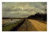 Country Road. Along the Banks of the Ofanto River