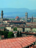 Buy View of the Old City Centre of Florence at AllPosters.com