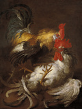 Buy The Cockfight at AllPosters.com