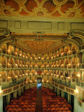 Buy Bibiena Theater known as the "Scientifico" at AllPosters.com
