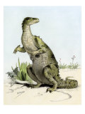 Iguanodon, a Large Herbivorous Dinosaur of the Early Cretaceous Period, 1890s