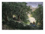 Jesus Praying in the Garden of Gethsemane before His Arrest