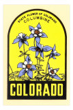 Columbine Decal