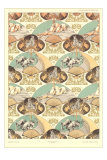Buy Rabbits and Fans Wallpaper at AllPosters.com