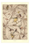 Beetles on Leaves