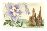 Columbine, Garden of the Gods