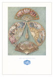 Buy Five Eighteenth Century Fans at AllPosters.com