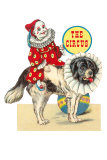 Baby Clown Riding St. Bernard