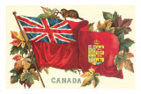 Old Canadian Flag