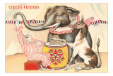 Elephant, Horse, Clown with Blocks