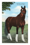 Whirlaway, Kentucky Derby Winner