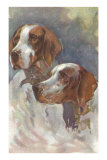 Two Pointers