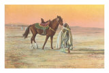 Arab Horseman