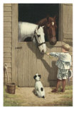 Little Boy Feeding Horse in Stable