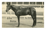 Dan Patch