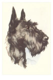 Scottie Dog
