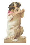 Puppy Chewing Bone