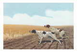 Pointers in Field