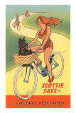Enjoy Curves, Scottie in Bicycle Basket