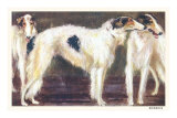 Three Borzois