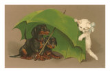 Dachshund Puppies Under Umbrella with Kitten