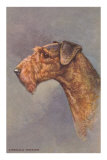 Airedale Terrier