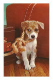 Puppy with Noose