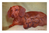 Mother Dachshund and Two Pups
