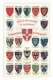 Coats of Arms of the Colleges of Cambridge