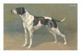 Pointer