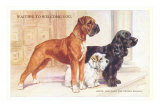 Boxer, Sealyham, Cocker Spaniel