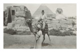 Man in Fez on Camel, Pyramid and Sphinx